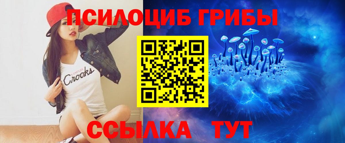 Калуга  Псилоцибиновые грибы прущие грибы  Вход с VPN 